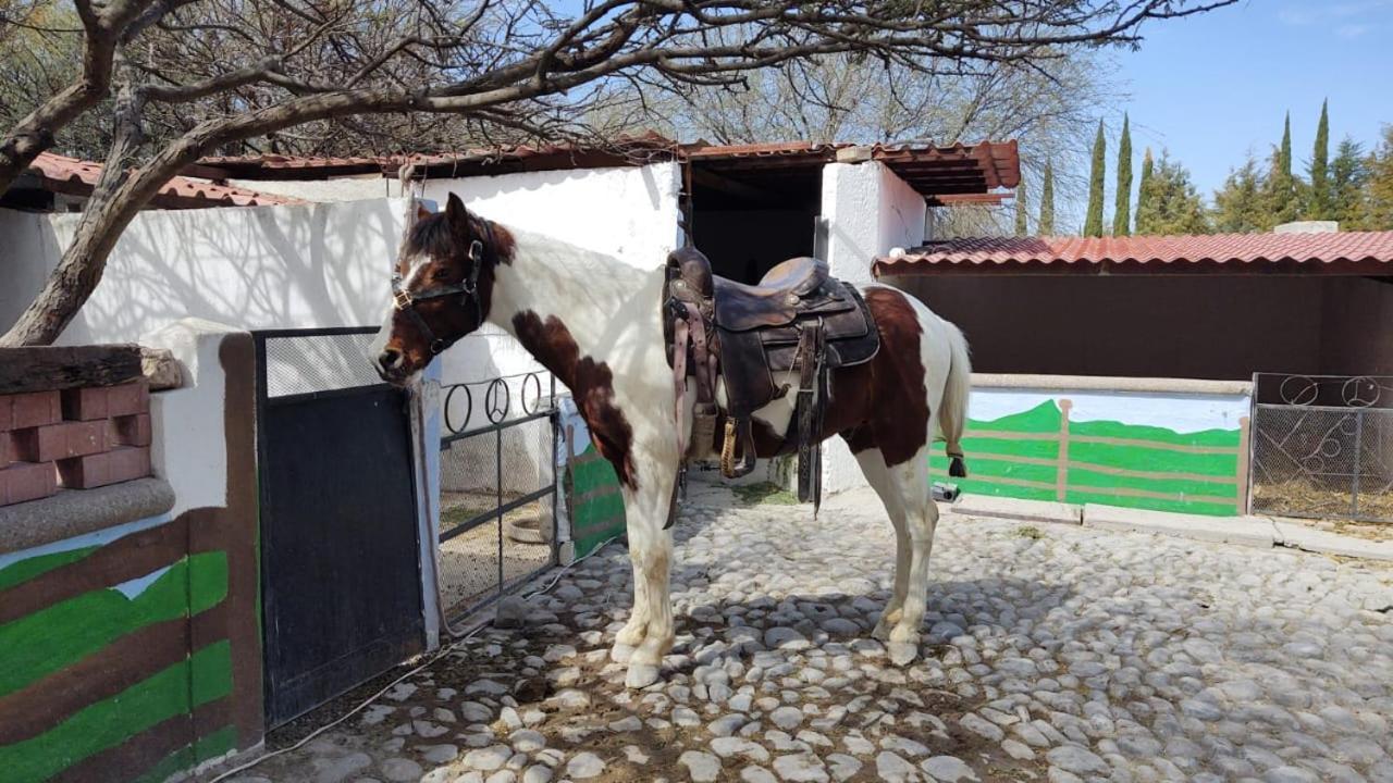 Rancho Labradores Country house *